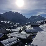 克莱恩瓦尔赛特尔套房酒店 酒店 Hirschegg (Vorarlberg)